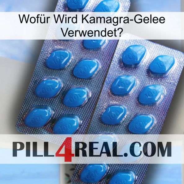 Wofür Wird Kamagra-Gelee Verwendetg viagra2